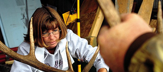 Cathy Caro removes antlers from the head of an elk last year during the process of testing for chronic wasting disease at the Colorado Division of Wildlife testing site, 1715 N. Yampa Ave. CWD is a fatal neurological disease found in deer and elk, and is tested for by removing and examining the lymph nodes and tonsils.