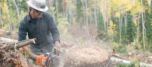 Justin Neilsen of Rogue Resources uses a chain saw to clear the trunks of dead pine trees that were removed from the slopes of the Steamboat Ski Area on Monday. The ski area feared the trees, most of which fell victim to the pine beetle epidemic, presented a hazard to skiers and hikers in the area.