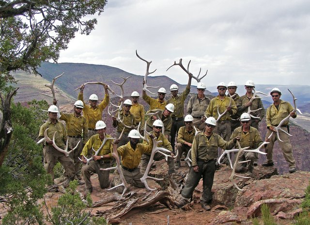 The Craig Interagency Hotshots gathered for a picture with elk antlers on the east side of the Green River at the top of the Gates of Lodore. The antlers were found in the area while fighting a fire July 13 inside Dinosaur National Monument. The crew was flown into the area by helicopter and spent two days cutting line to contain the fire and mopping up the area to ensure the fire was completely out. The crew respected the national monument’s policies and left the antlers on the property. More recently, the Hotshots spent 12 days in Boulder County fighting the Fourmile Canyon Fire.