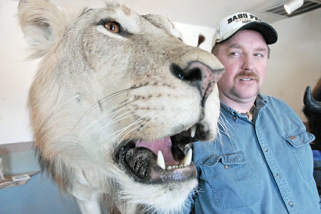 Craig taxidermist Scott Moore stands Saturday next to the prize-winning piece, “Can’t Kill the King,” which he created with local taxidermist Leland Reinier. The two men won first place for collective artist at the Colorado State Taxidermy Competition earlier this month in Salida. The piece, which features an African lion, is on display at Moore’s business, Mountain Man Taxidermy in Craig.