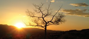 Only on the two equinoxes in March and September does the sun rise due east and set due west, giving us 12 hours of daylight and 12 hours of darkness. With each passing day, as the sun moves northward, the daylight hours get longer and the nights grow shorter.
