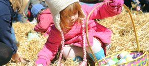 Ellie Hunt, 2, reaches to deposit an egg in her basket Saturday at the Steamboat Christian Center's Eggstravaganza Easter egg hunt. The event drew a huge crowd of children and plenty of adults to help dig through the hay to find the wealth of eggs.