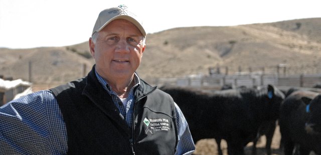 John Raftopoulos, of Raftopoulos Ranches, stands among the Black Angus bulls on his ranch approximately 20 miles northwest of Maybell. On March 31, the Colorado Angus Association recognized the local rancher as the organization’s 2011 Promoter of the Year. The award recognizes contributions to the Angus breed through marketing, salesmanship and raising the quality standard of Colorado cattle.
