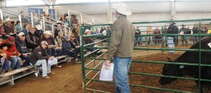 More than 100 people gathered Saturday afternoon at the Routt County Fairgrounds for the 10th annual North Western Colorado Bull Sale, which netted $112,000 from 35 bulls, the highest ever.