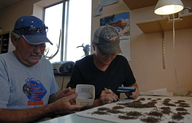 Gary Brannan, Moffat County weed and pest management manager, and Pam Boyd, pest control technician, examine the results of two mosquito abatement tests conducted in Moffat County earlier this week. The department utilizes a variety of mosquito abatement techniques and strive for 95 percent control throughout the county. Aerial treatments for adult mosquitoes are scheduled to continue through Friday.