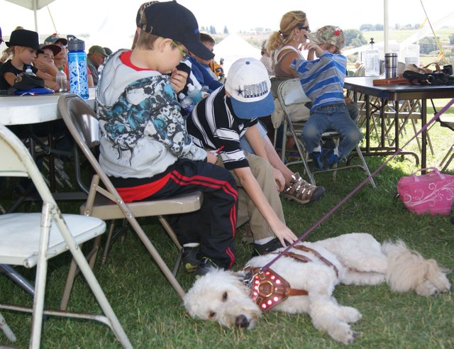 Sandrock Elementary second grader, Robert Schmidt, reaches down to pet Jerry, a golden doodle certified therapy dog as classmate Avery Chadd looks on. The students sat during a presentation on service and therapy dogs by Shannan Koucherik. Koucherik joked about Jerry's tough job as a therapy dog having to be pet all day.