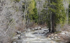 Water flows down Fish Creek on Thursday. With ample snowpack, water providers have not implemented Stage 2 water restrictions.