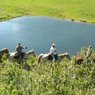 Horseback Riding General Info