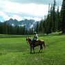 Summer Horseback Riding
