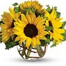 Summer Flowers