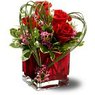 Love & Romance