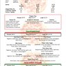 Hand Tossed Pizzas