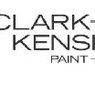 Paint