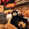 Gifts & Souvenirs