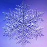 Snowflake Photograph Exhibition