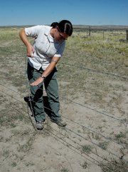 Wildlife biologist Noe Marymor with Natural Resources Conservation Service in Craig shows off a wildlife-friendly fence installed on a Big Gulch ranch. NRCS paid for 75 percent of the fence funding. The fence allows fawns and baby pronghorn to slip under a nonbarbed bottom wire, while top-wire spacing prevents twisting should a jumping animal catch a leg in the highest wire.