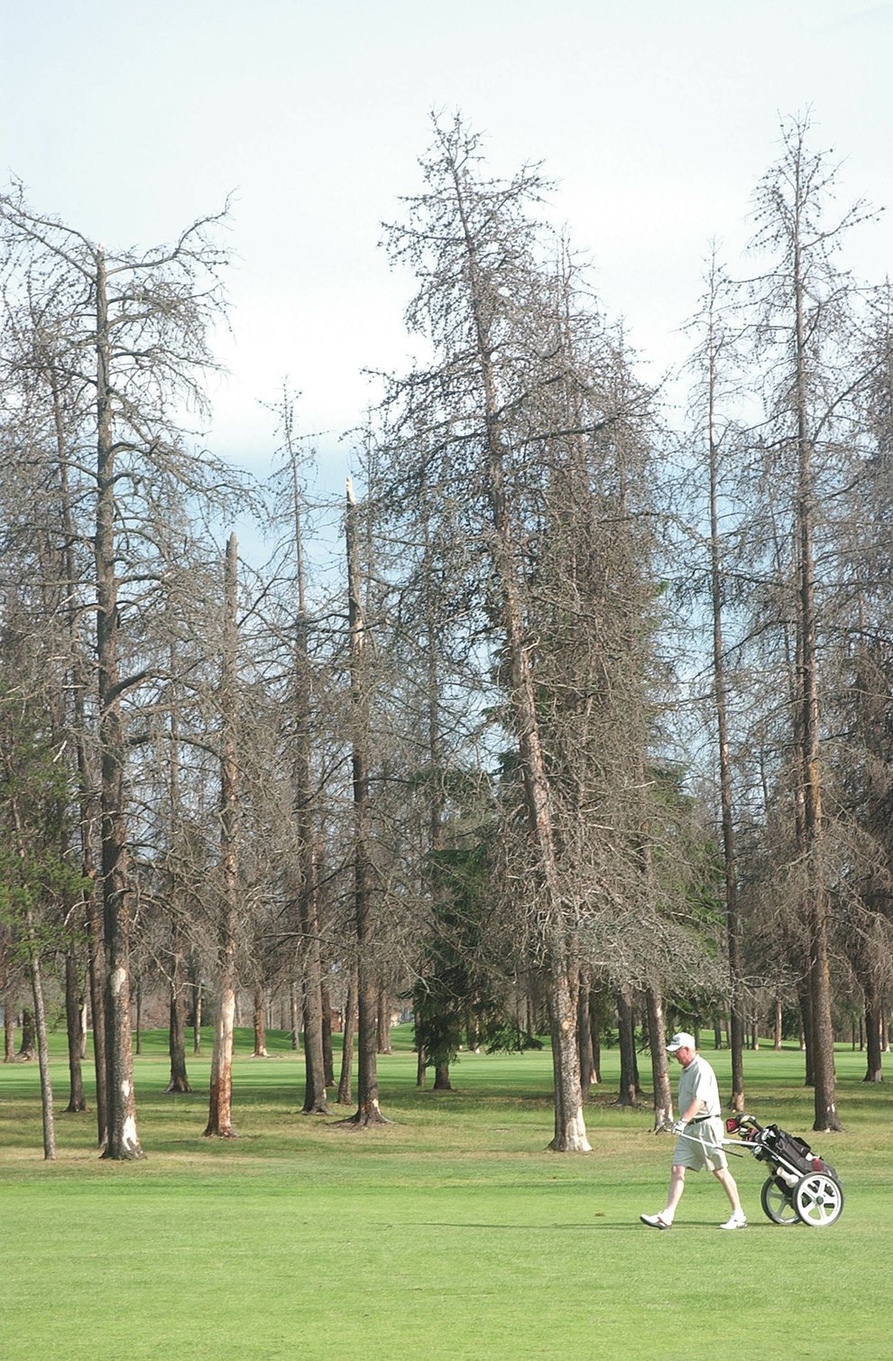 photo thumbnail