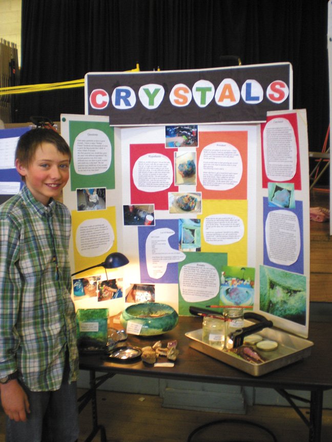 What are some science fair projects?