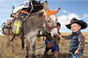 Ryan Wells, 2, pets Moses the donkey with Nick Jenkins' encouragement. Wells' mother, Allison, pulled over to the side of the road to talk to the strange crew of Jenkins, Eric Sheets, the donkey and a dog, carrying everything they own down Colo. 13. The group has walked from Ohio.
