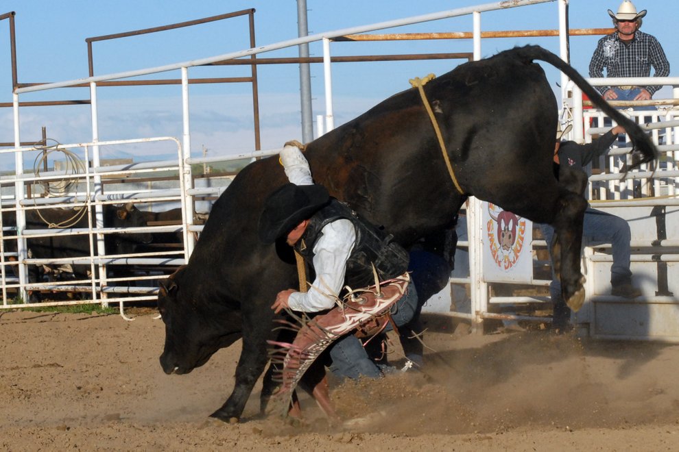 Lane Frost Memorial 2010 