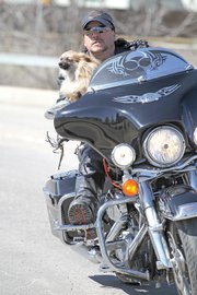 Murray Fenstermacher, 49, rides his 2008 Harley Davidson through Craig with Alvin, his nine-and-a-half pound Pomeranian. Fenstermacher designed a harness system for Alvin to keep him safe while riding on his motorcycle and is considering patenting and marketing the idea.
