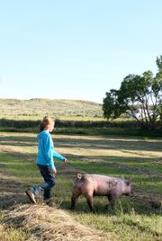 Emma Balstad walks her pig, named Pig, through a field near her home in Maybell on July 20. Emma said though 4-H and preparing for the Moffat County Fair is hard work, she enjoys it and thinks it helps her learn valuable skills.