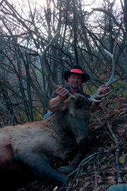 Tony Lawton, of Grand Junction, poses last hunting season with an elk he shot on Indian Run in Northwest Colorado.
