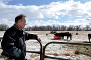 Moffat County Sheriff’s Office investigator Gary Nichols watches as local rancher Dave Seely feeds his cattle Friday afternoon. Last year, Nichols investigated the first case of Equine Piroplasmosis in state history and spearheaded a joint probe of a Little Snake River rancher suspected of possessing 67 head of cattle belonging to nine area ranchers.