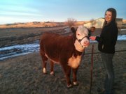 Mackenzie Camblin, 15, of Maybell, is pictured above with her registered Hereford, Polly, which she won at the National Western Stock Show.