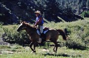 Craig resident Ken Wolgram gallops atop his horse, Awesomes Fire N Ice, during a North American Trail Ride Conference competition in Evergreen. The team participated in 12 NATRC events in 2011, and for the first time in the organization’s history, took home all four national trophies.
