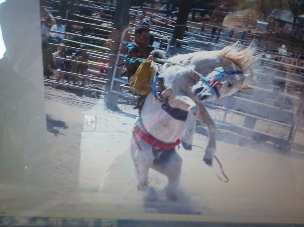 photo thumbnail
