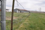 A gap in the barbed wire fence behind Marvin and Robin Weible’s home on the 1400 block of West Third Street shows where a black bear escaped into Woodbury Park on Sunday morning. The bear was estimated to be between 8 and 10 years old and weighed roughly 300 pounds, “which is a fairly large bear for this time of year,” said Mike Porras, public information officer for the Colorado Parks and Wildlife’s northwest region.