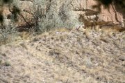Authorities from the Craig Police Department and Moffat County Sheriff's Office are investigating a death in Craig at the sandrocks.