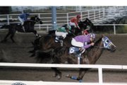 Sweepers Brasslady (No. 6) rounds a turn during a race held June 27, 1987 at the Moffat County Raceway set up on the Moffat County Fairgrounds. The horse, owned and trained by Lester Mock, would win the 330-yard race in a time of 17.79 seconds. From the late-1960s through at least 1987, Moffat County Fairgrounds hosted horse races every year for three weekends in June.