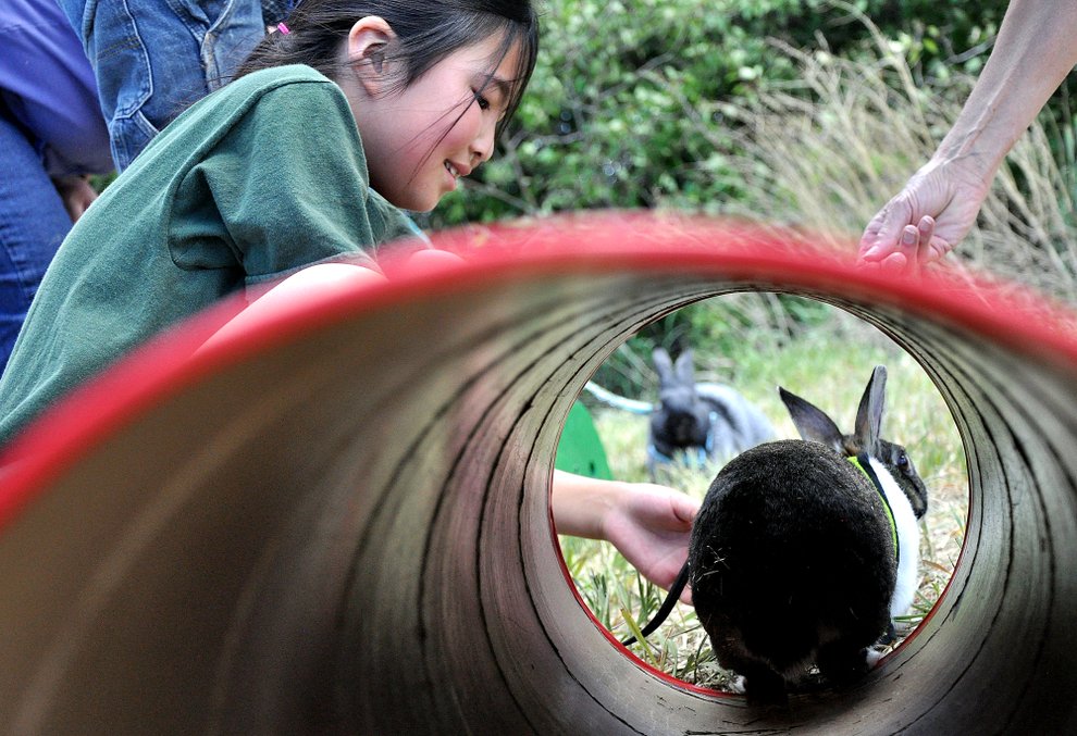 photo thumbnail