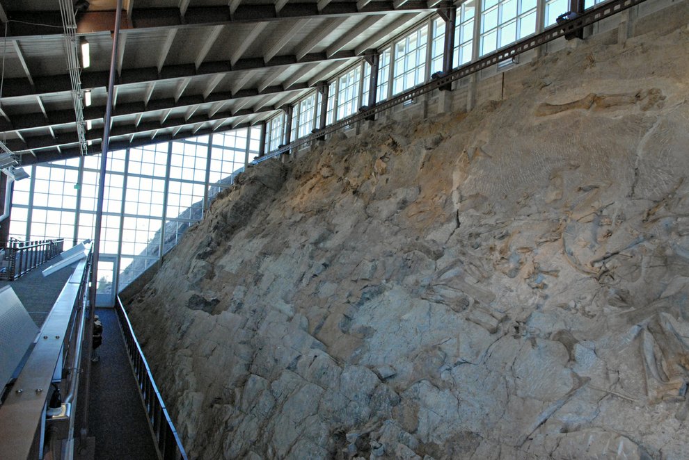 dinosaur national monument wall of bones