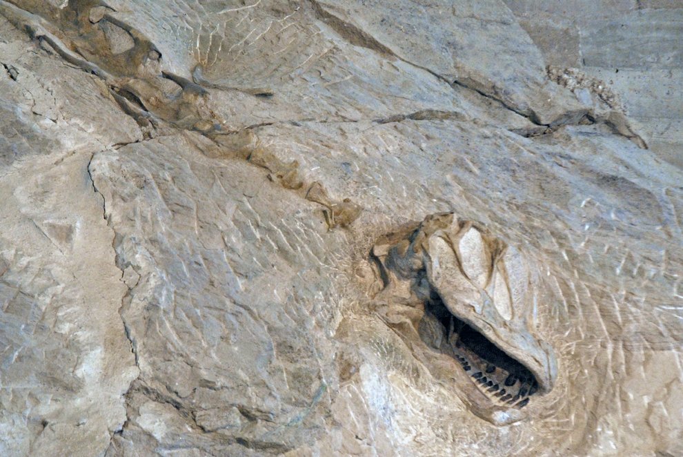 dinosaur quarry exhibit hall