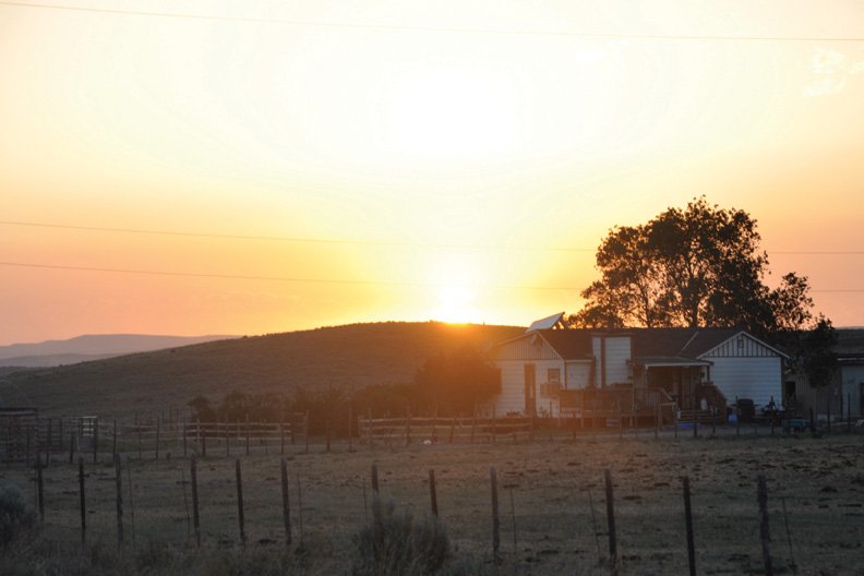 photo thumbnail