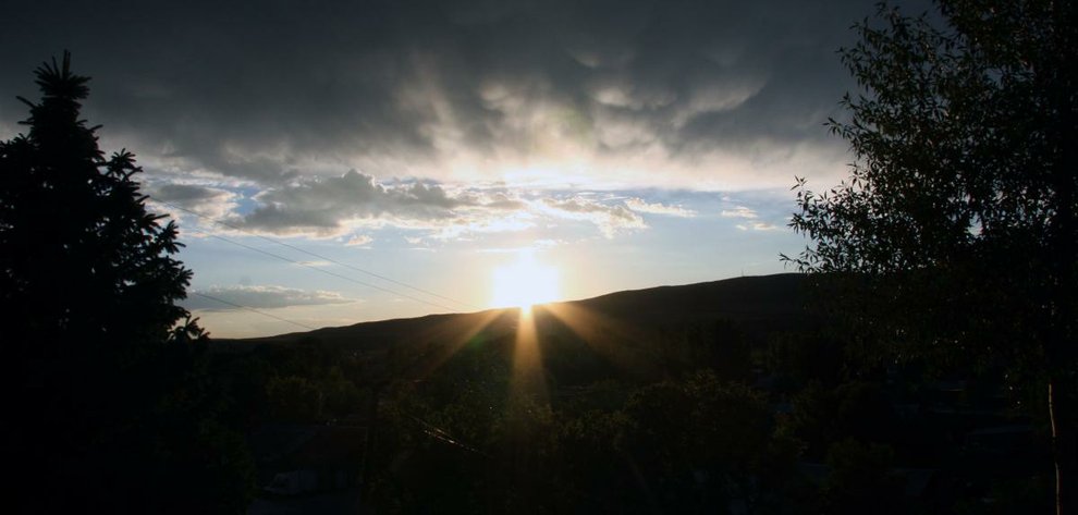 photo thumbnail