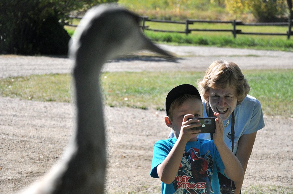 photo thumbnail