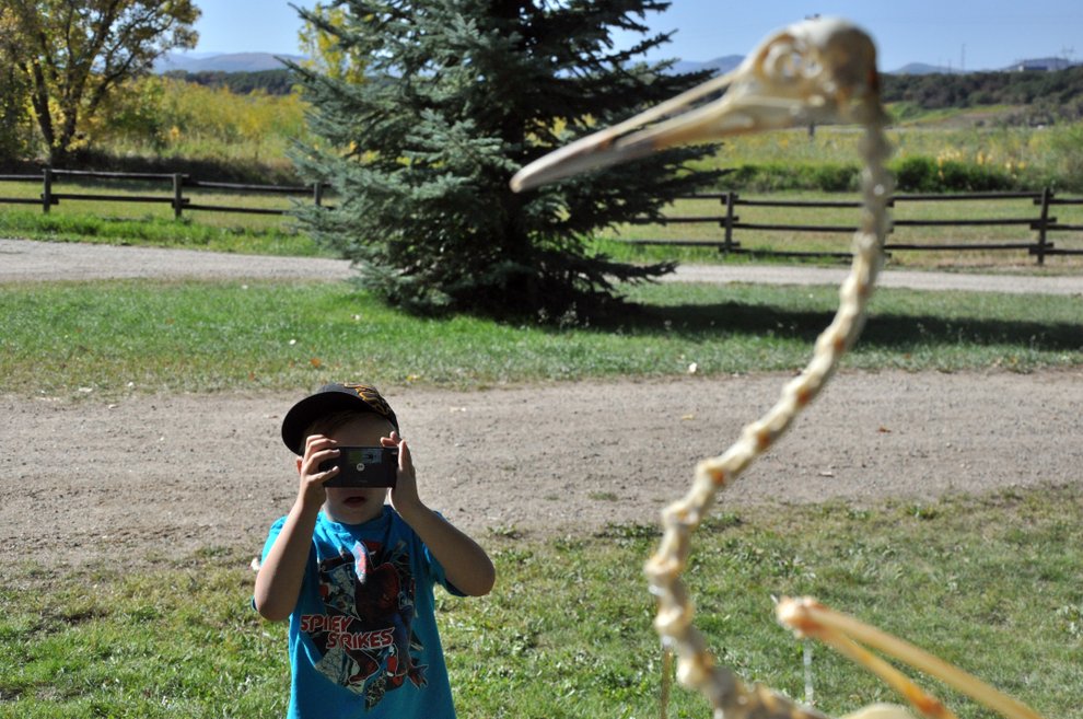 photo thumbnail