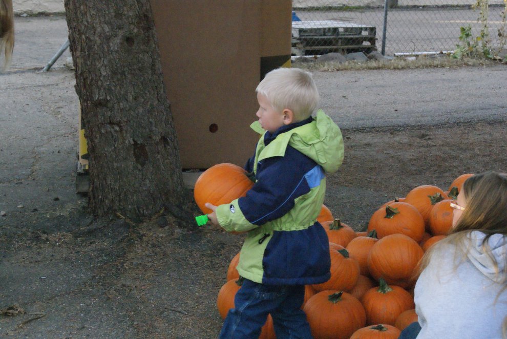 photo thumbnail