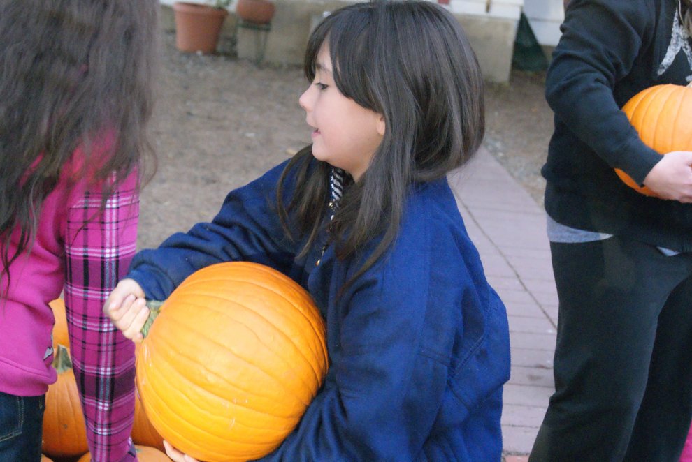 photo thumbnail