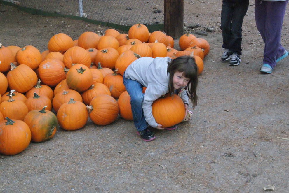 photo thumbnail