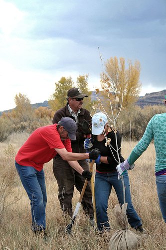 Colorado Environmental Coalition