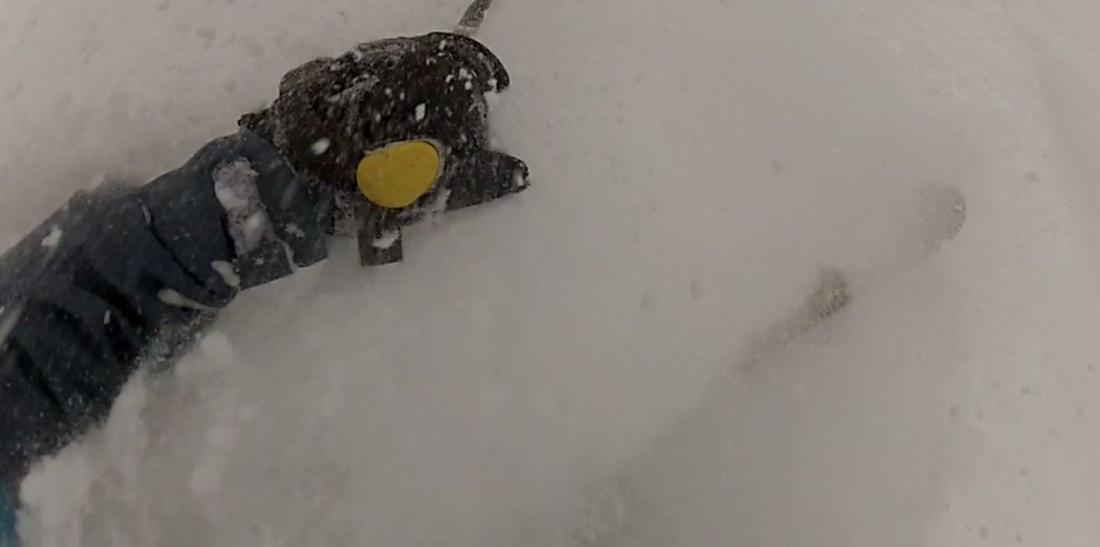 photo thumbnail