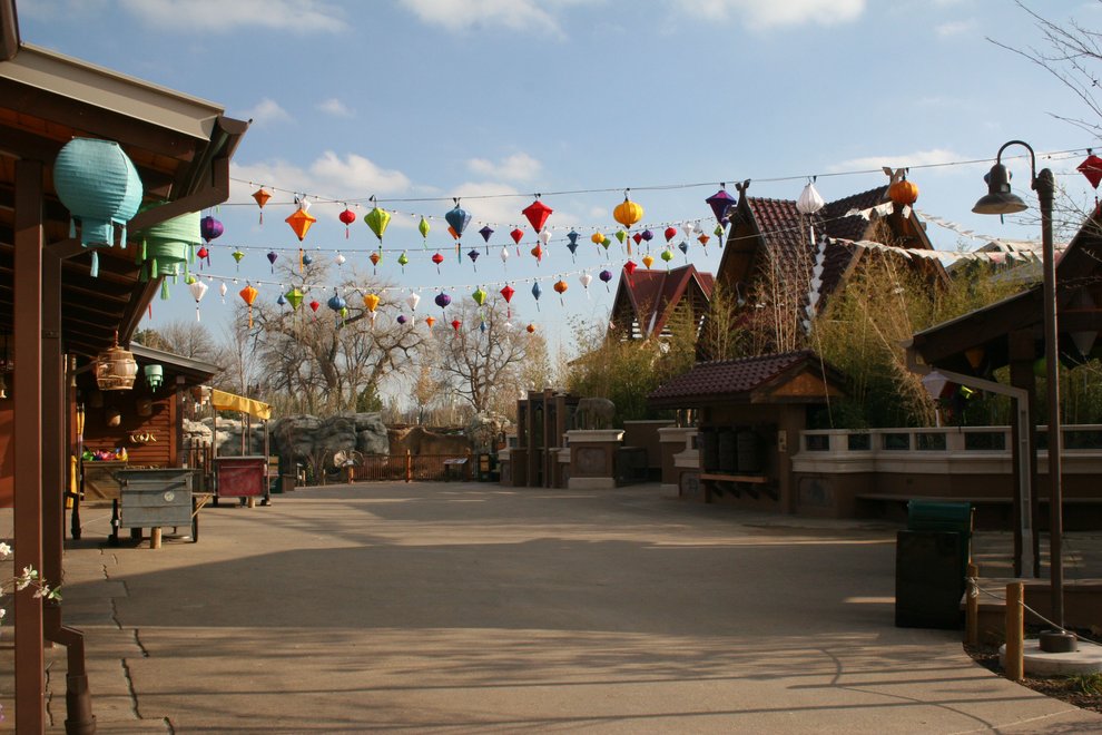 photo thumbnail