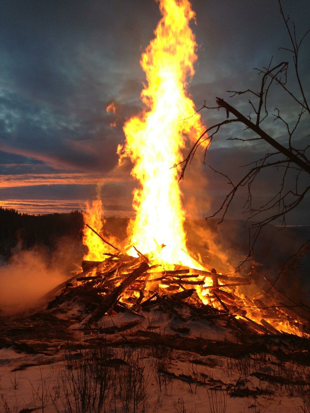 photo thumbnail