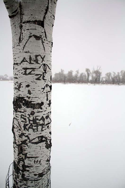 photo thumbnail