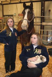Moffat County High School junior and FFA member Ripley Bellio stands next to the horse while senior Taylor Duzik sits holding a puppy during barnyard day. MCHS students in FFA hosted barnyard day for district kindergartners, introducing them to the agriculture industry in honor of national FFA week.